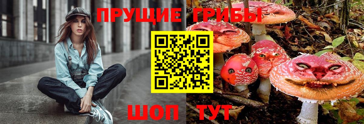 Псилоцибиновые грибы Psilocybine cubensis  Галлюциногенные грибы ЛСД  Усть-Илимск  купить наркотики цена  Вход с VPN 