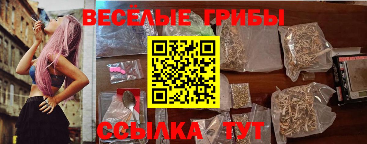 Псилоцибиновые грибы Cubensis Усть-Илимск